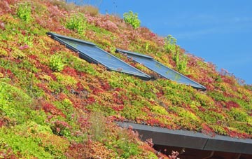 High Spen living roof systems